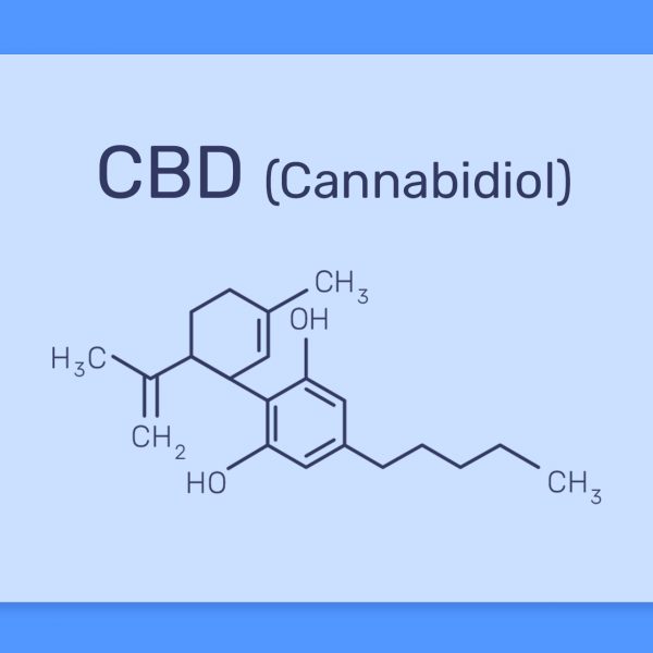 מה זה סיבידי CBD? כל מה שצריך לדעת על הקנבינואיד קנאבידיול