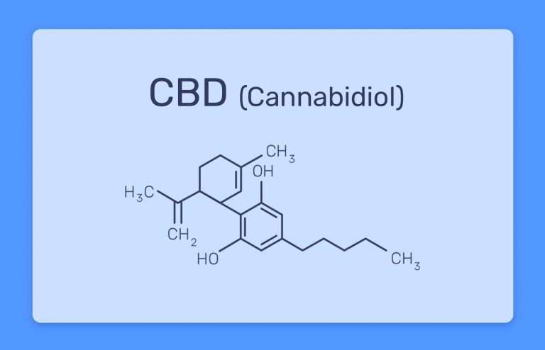 מה זה סיבידי CBD? כל מה שצריך לדעת על הקנבינואיד קנאבידיול
