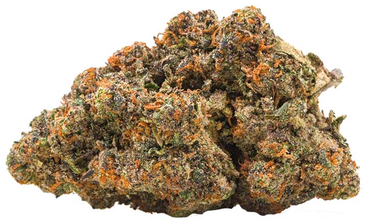 תפרחת מלונאטה סמולס