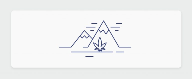 כל מה שאתם צריכים לדעת על קוש Kush