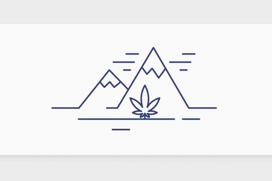 כל מה שאתם צריכים לדעת על קוש Kush