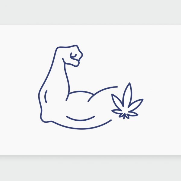 קנאביס רפואי לשרירים: כיצד הצמח יכול לעזור לצבור כוח