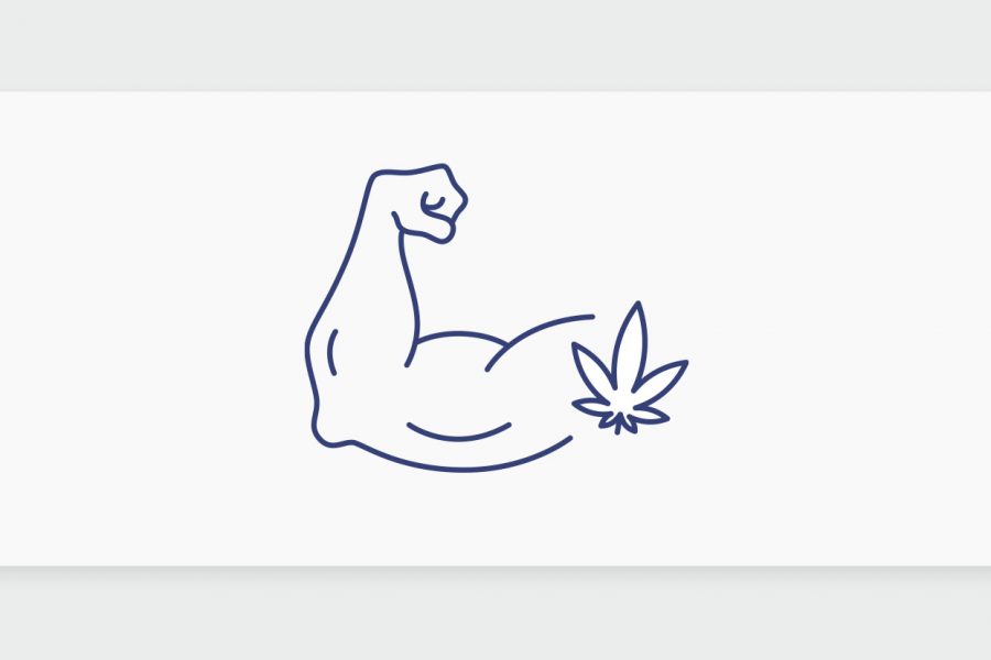 קנאביס רפואי לשרירים: כיצד הצמח יכול לעזור לצבור כוח