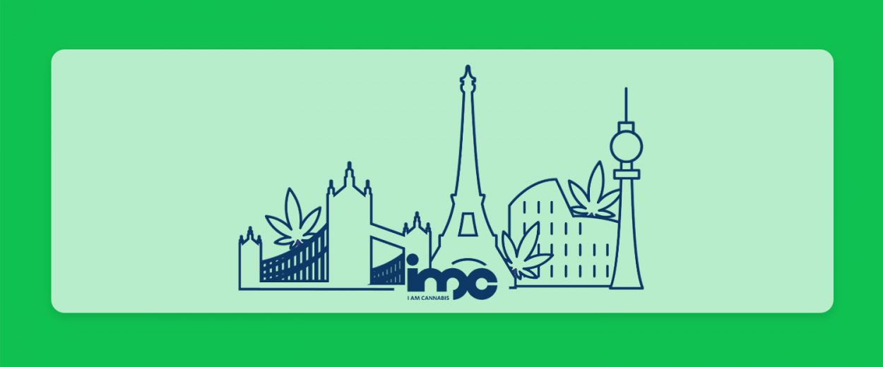 קנאביס זום-אין: זני הקנאביס הרפואי בסדרת הערים הגדולות של חברת IMC