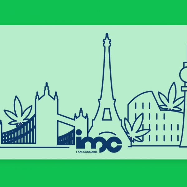 קנאביס זום-אין: זני הקנאביס הרפואי בסדרת הערים הגדולות של חברת IMC