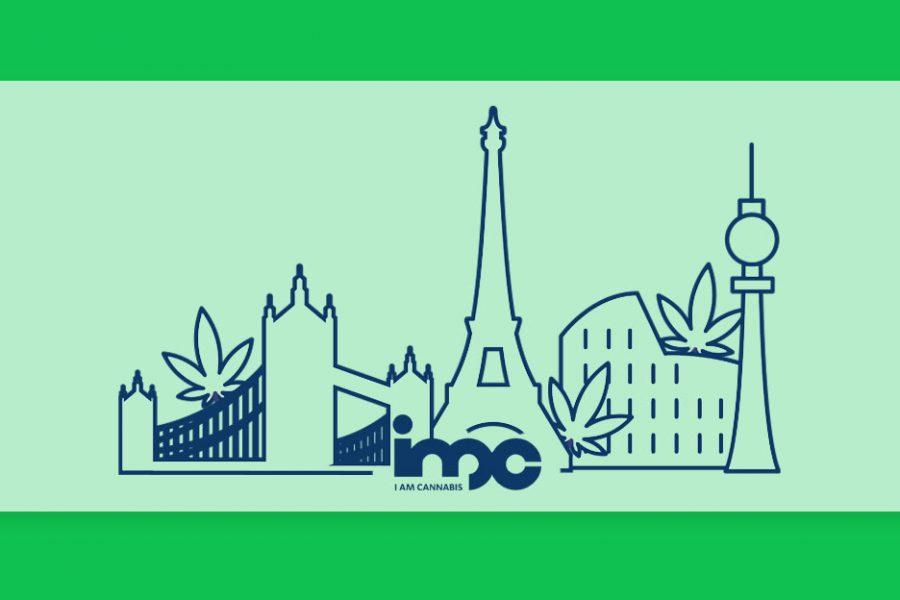 קנאביס זום-אין: זני הקנאביס הרפואי בסדרת הערים הגדולות של חברת IMC