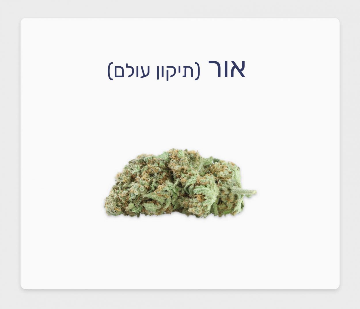 סקירת זן אור – תפרחת קנאביס רפואי T20/C4 אינדיקה