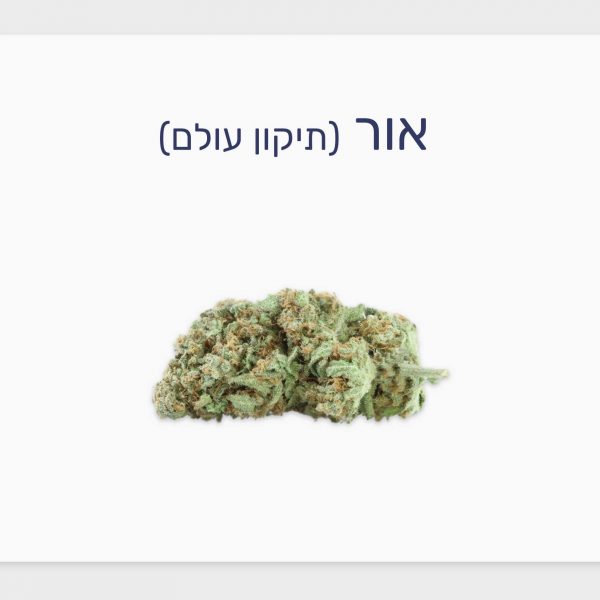סקירת זן אור – תפרחת קנאביס רפואי T20/C4 אינדיקה