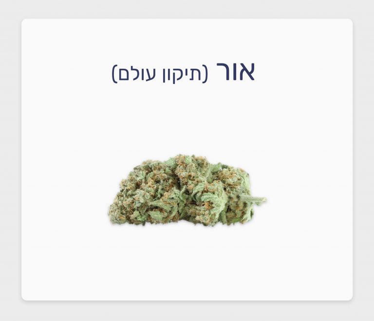 סקירת זן אור – תפרחת קנאביס רפואי T20/C4 אינדיקה