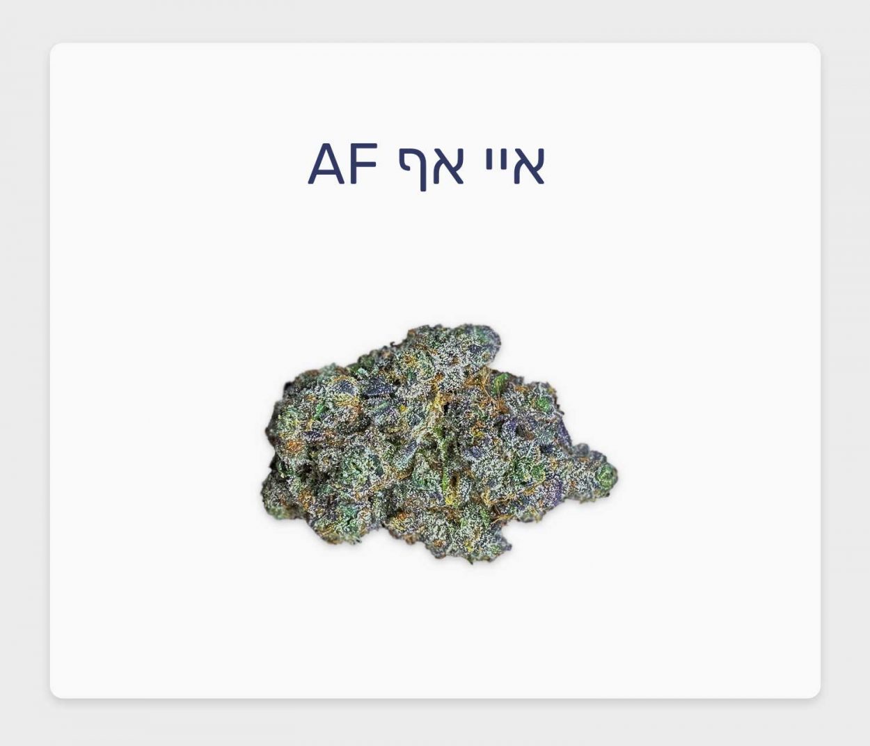 סקירת זן איי אף AF – תפרחת קנאביס רפואי בגידול אינדור ישראלי של חברת טריכום וחברת גרין בויז
