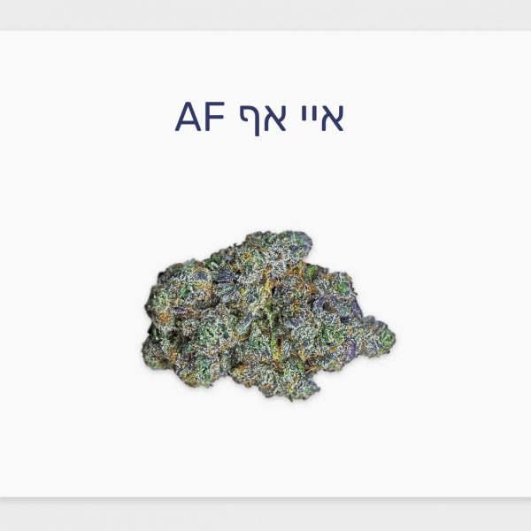 סקירת זן איי אף AF – תפרחת קנאביס רפואי בגידול אינדור ישראלי של חברת טריכום וחברת גרין בויז