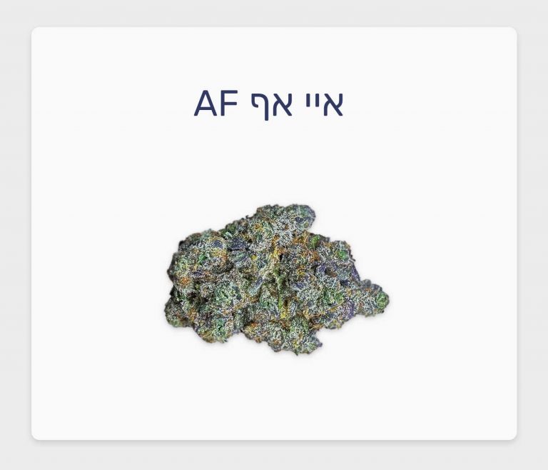 סקירת זן איי אף AF – תפרחת קנאביס רפואי בגידול אינדור ישראלי של חברת טריכום וחברת גרין בויז