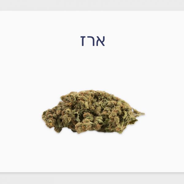 סקירת זן ארז – תפרחת קנאביס רפואי T20/C4 אינדיקה