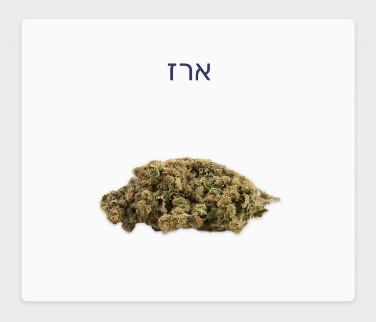 סקירת זן ארז – תפרחת קנאביס רפואי T20/C4 אינדיקה