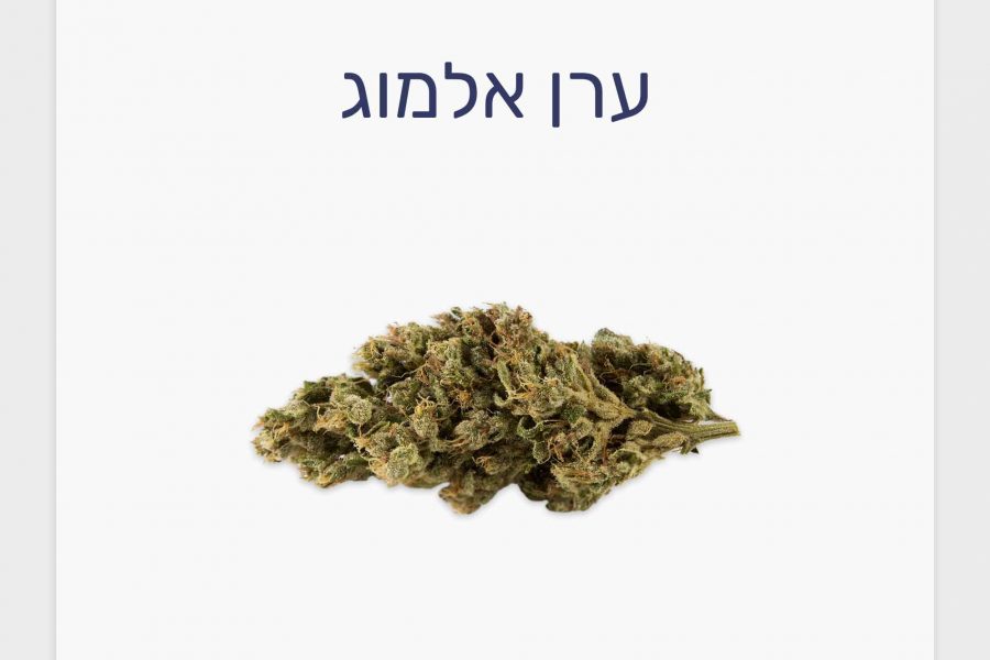 סקירת זן ערן אלמוג – תפרחת קנאביס רפואי T20/C4 אינדיקה