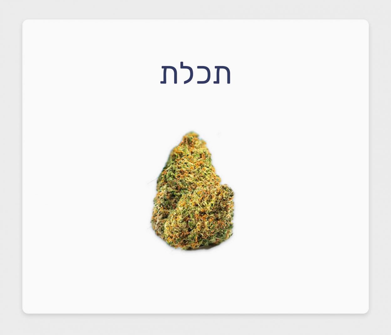 סקירת זן תכלת – תפרחת קנאביס רפואי T20/C4 סאטיבה