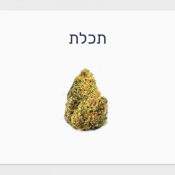 סקירת זן תכלת – תפרחת קנאביס רפואי T20/C4 סאטיבה