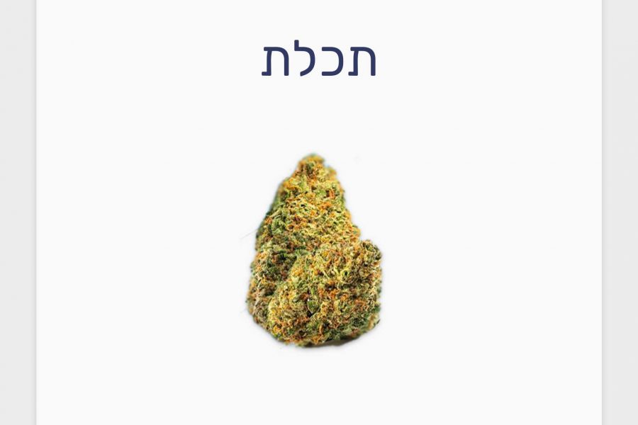 סקירת זן תכלת – תפרחת קנאביס רפואי T20/C4 סאטיבה