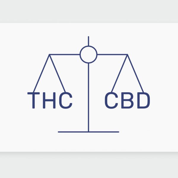 איזון בין THC ל-CBD, יתרונותיו ודוגמאות לתפרחות ושמנים מאוזנים