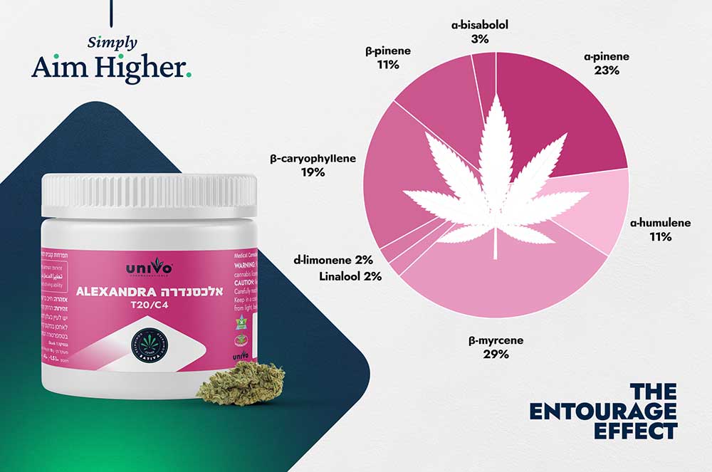 טרפנים אלכסנדרה