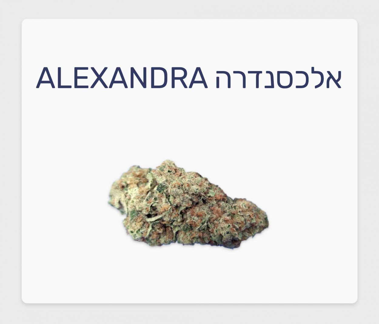 סקירת זן קנאביס רפואי אלכסנדרה – תפרחת T20/C4 אינדיקה