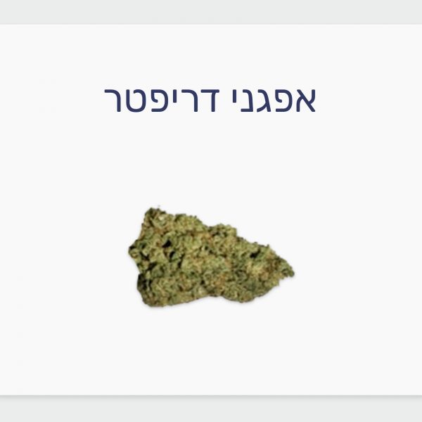 🍀 סקירת זן קנאביס רפואי אפגני דריפטר – תפרחת T20/C4 אינדיקה