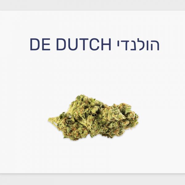 סקירת זן קנאביס רפואי הולנדי – תפרחת T20/C4 אינדיקה