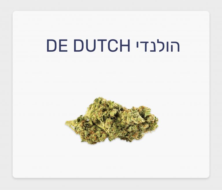 סקירת זן קנאביס רפואי הולנדי – תפרחת T20/C4 אינדיקה