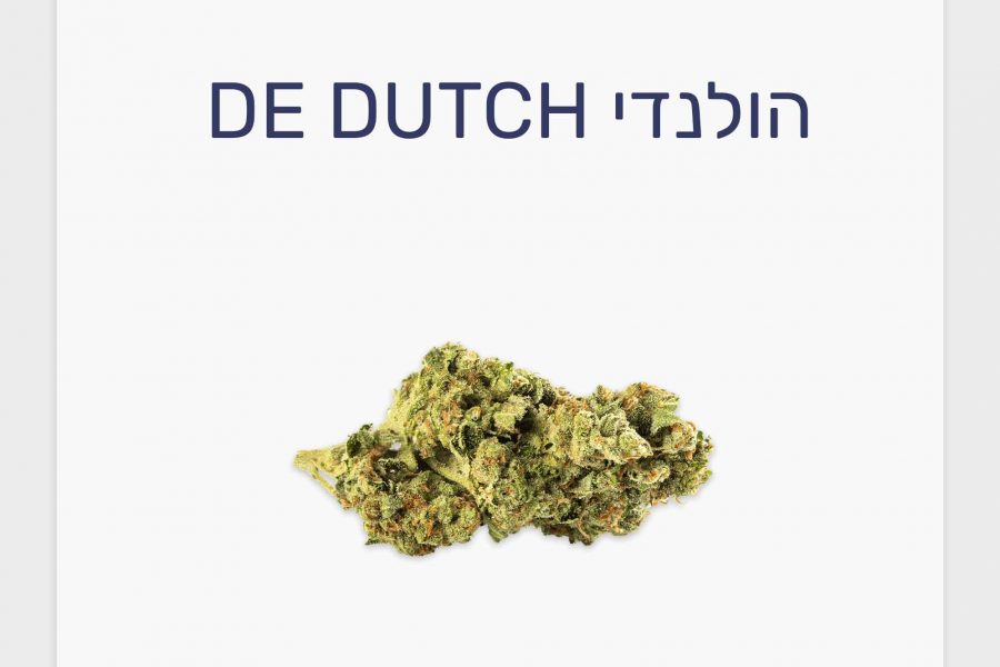 סקירת זן קנאביס רפואי הולנדי – תפרחת T20/C4 אינדיקה