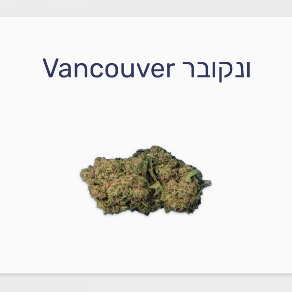 סקירת זן ונקובר – תפרחת קנאביס רפואי T20/C4 אינדיקה