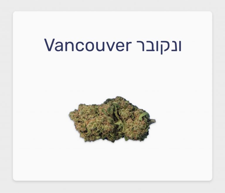 סקירת זן ונקובר – תפרחת קנאביס רפואי T20/C4 אינדיקה