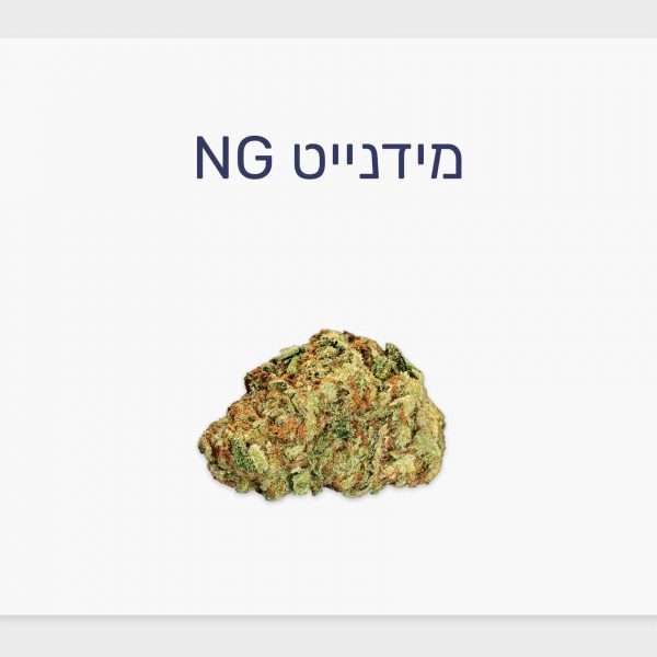 סקירת זן קנאביס רפואי מידנייט NG – תפרחת T10/C10 היברידי