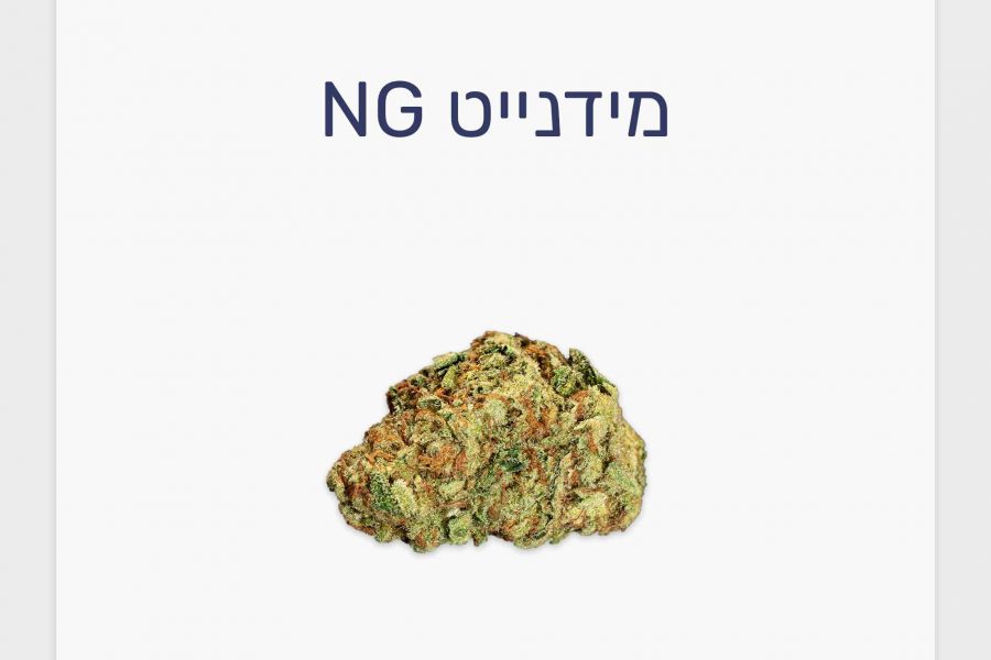 סקירת זן קנאביס רפואי מידנייט NG – תפרחת T10/C10 היברידי