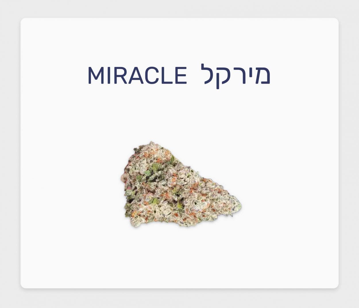 סקירת זן קנאביס רפואי מירקל – תפרחת T20/C4 היברידי