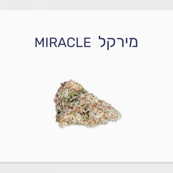 סקירת זן קנאביס רפואי מירקל – תפרחת T20/C4 היברידי