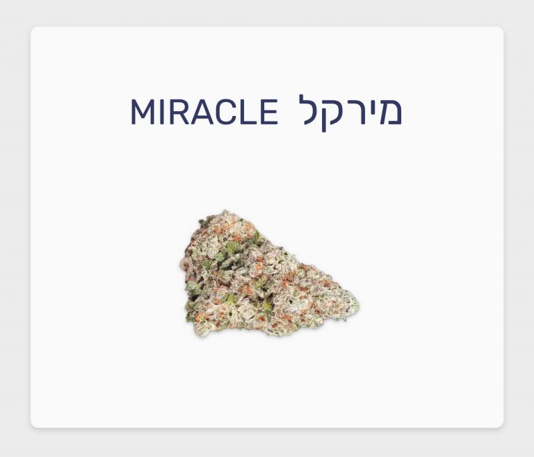 סקירת זן קנאביס רפואי מירקל – תפרחת T20/C4 היברידי