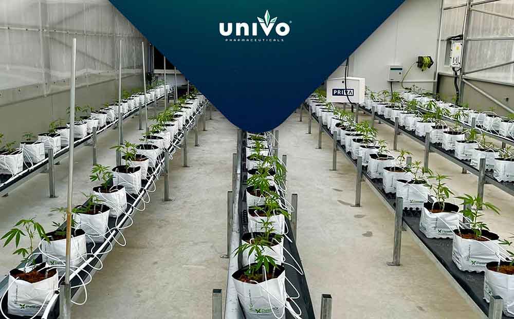 יוניבו חוות עמית