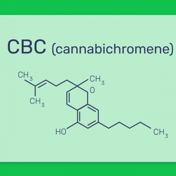 מה זה סיביסי CBC? כל מה שצריך לדעת על הקנבינואיד cannabichromene