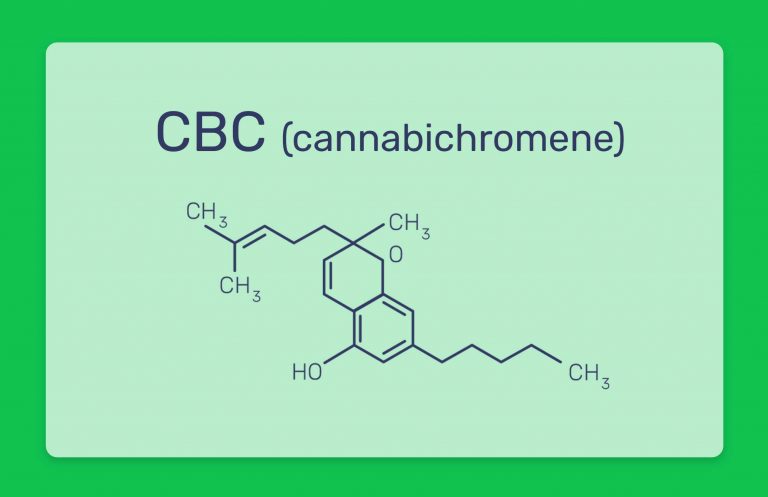 מה זה סיביסי CBC? כל מה שצריך לדעת על הקנבינואיד cannabichromene