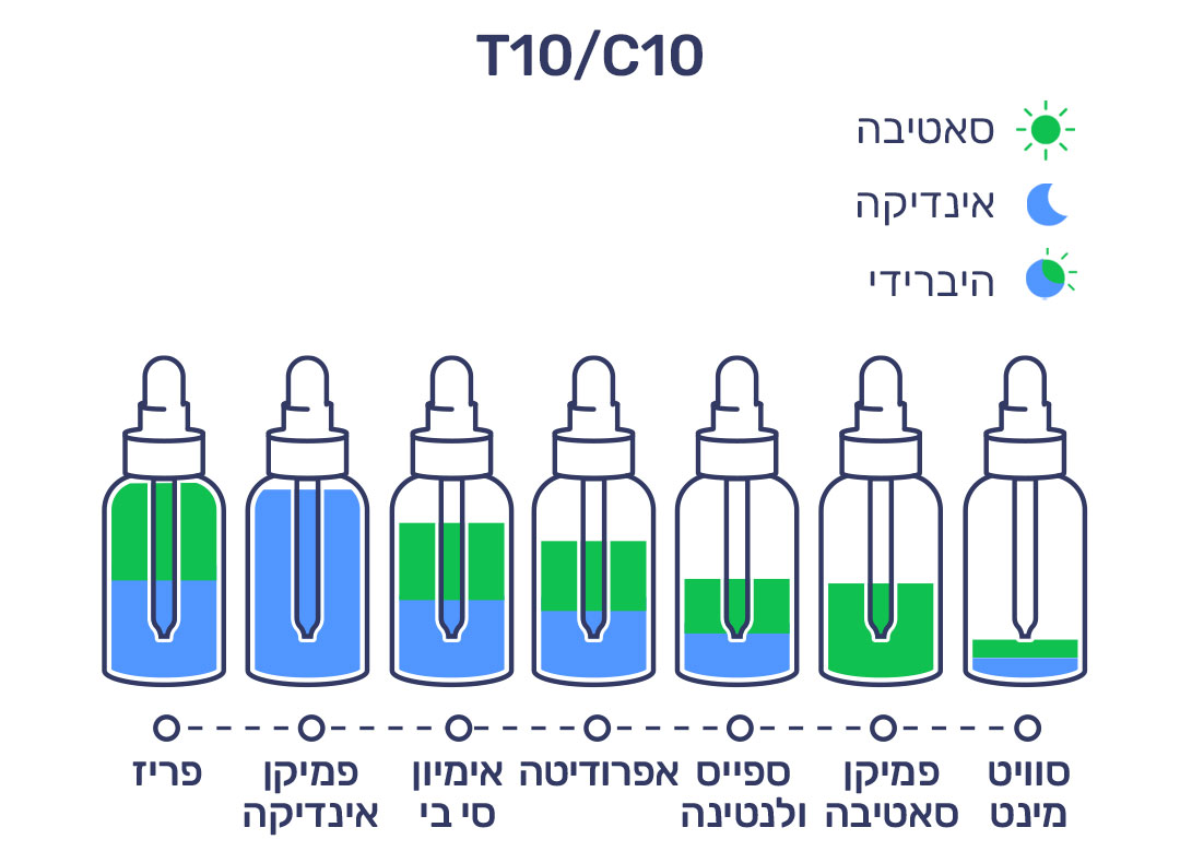 פברואר T10