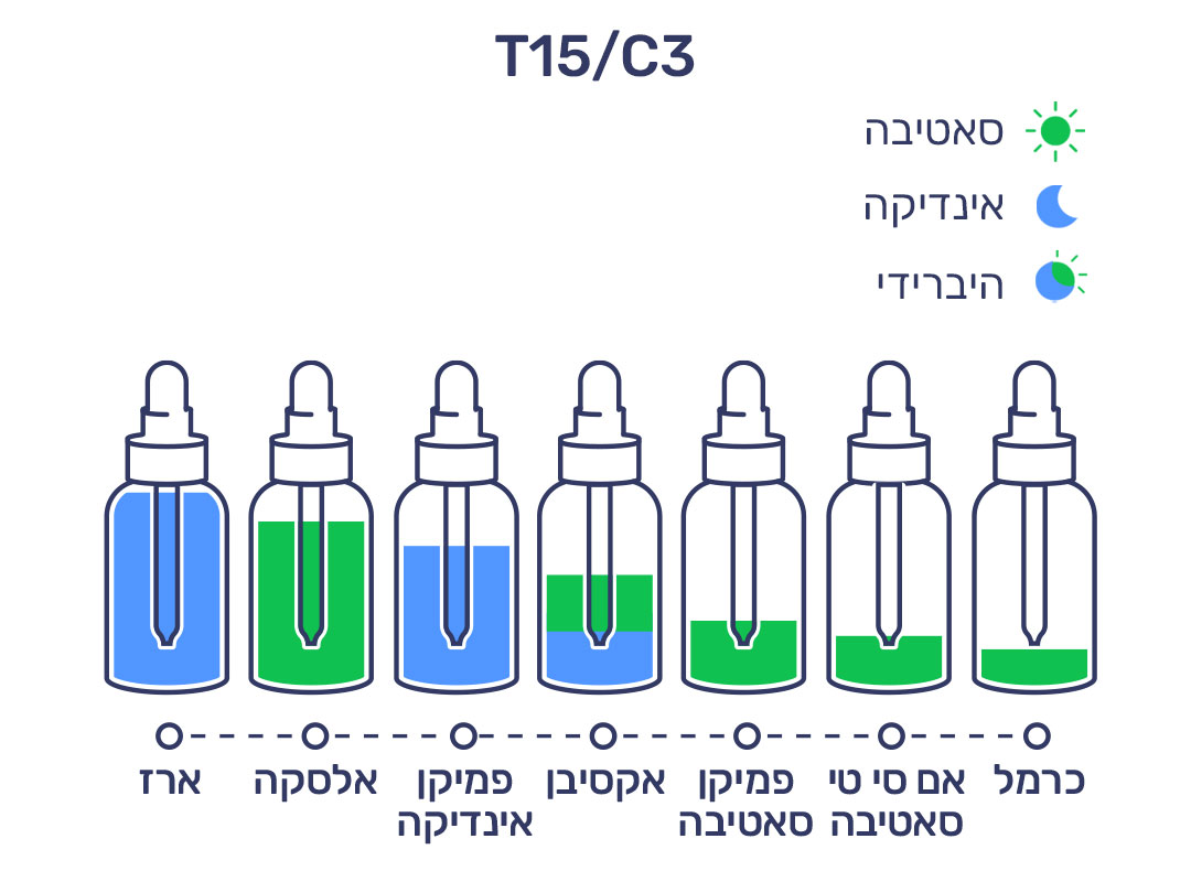 פברואר T15