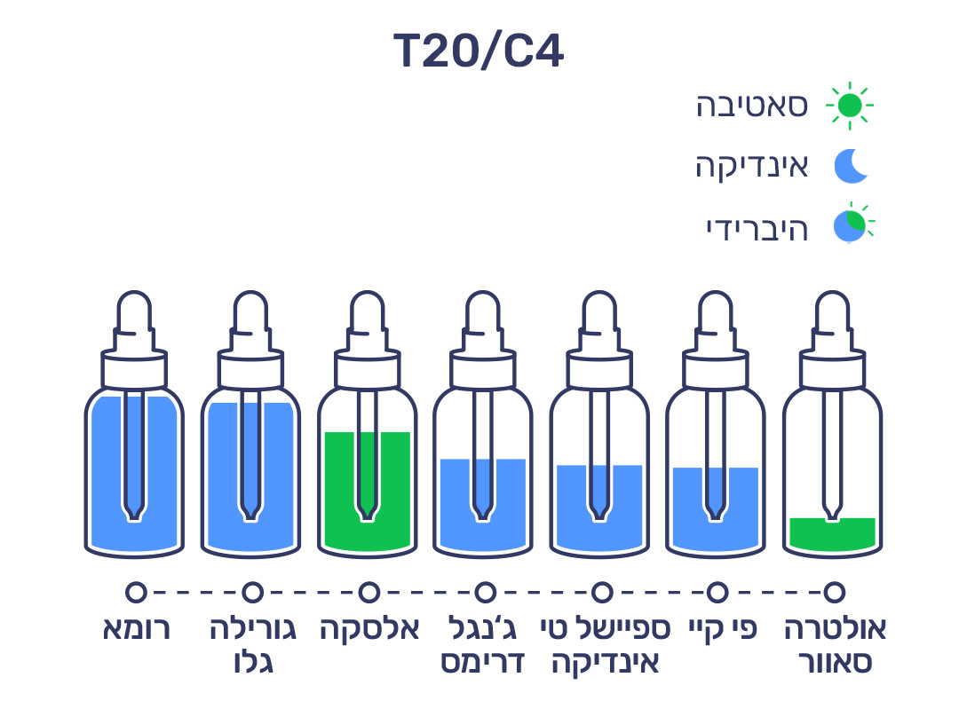 פברואר T20