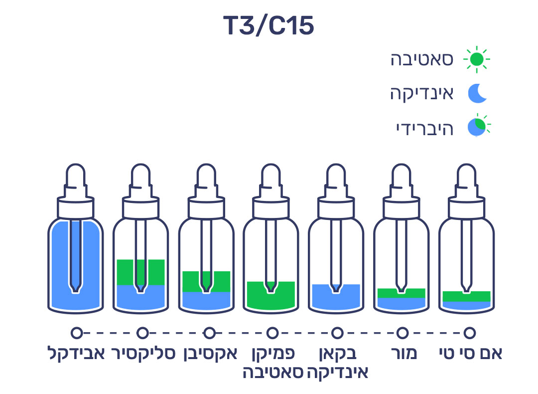 פברואר T3