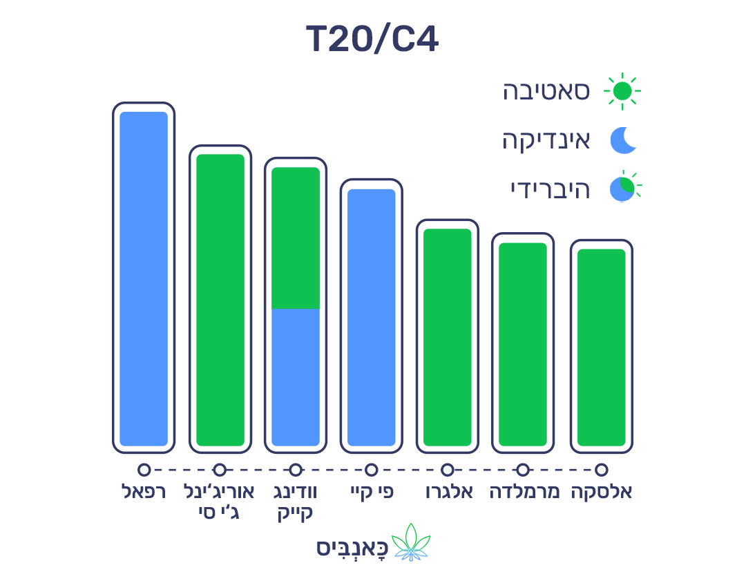 10.4.22 דירוג זנים T20