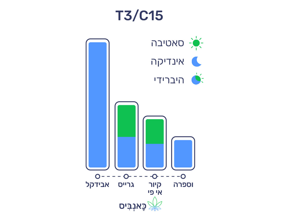 10.4.22 דירוג זנים T3