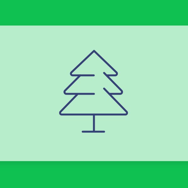 טרפנים 101#: הכל על הטרפן פינן