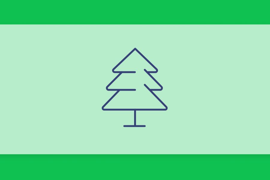 טרפנים 101#: הכל על הטרפן פינן