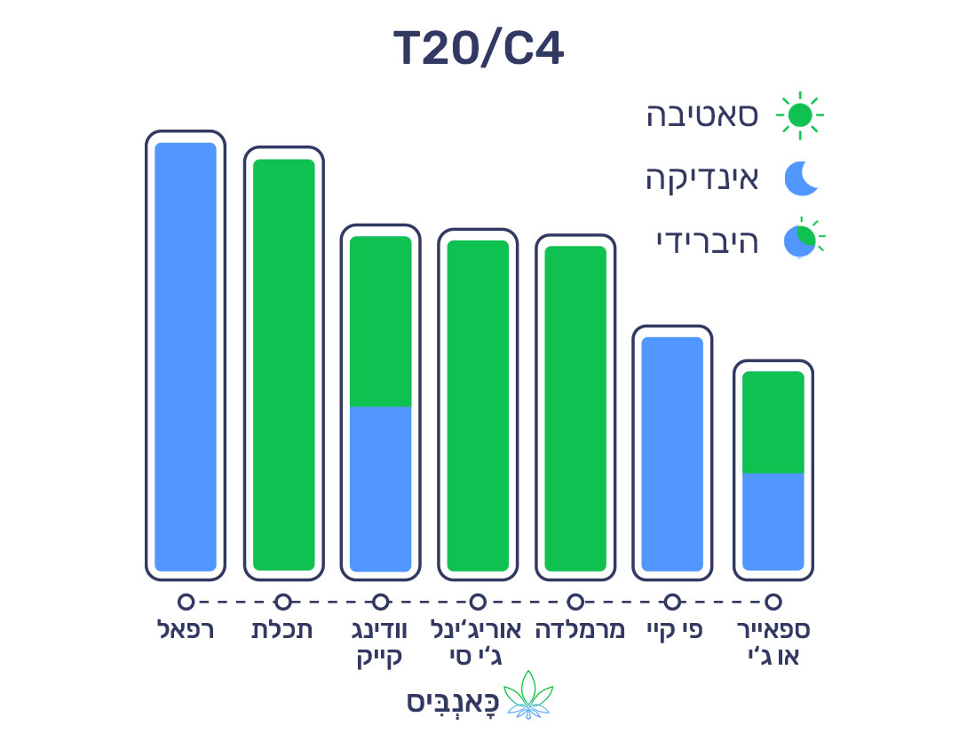 17 4 22 דירוג זנים T20