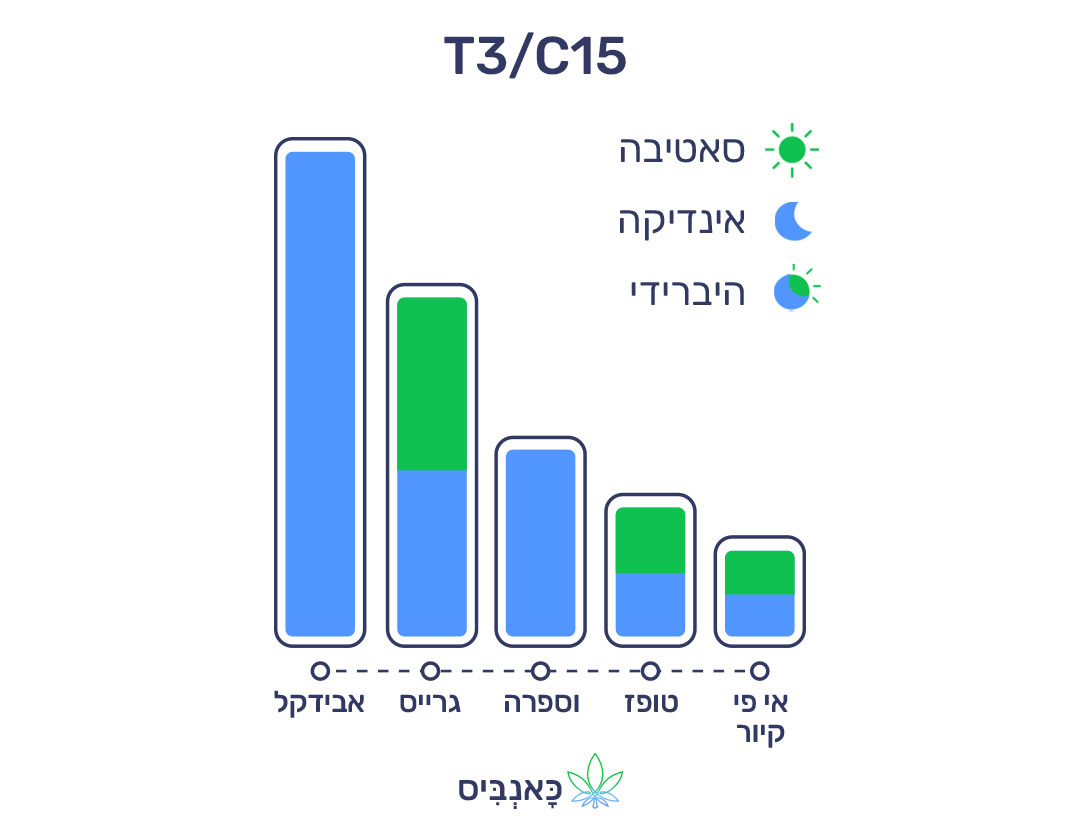 24.4.22 דירוג זנים T3