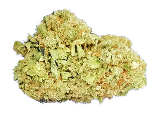 תפרחת אפגן וויזארד